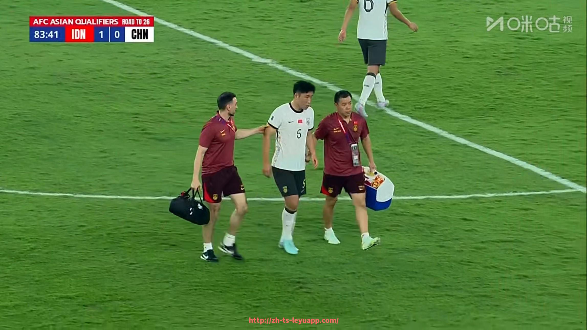 乐鱼体育入口-那些曾辉煌如今衰败的德甲球队历史轨迹回顾