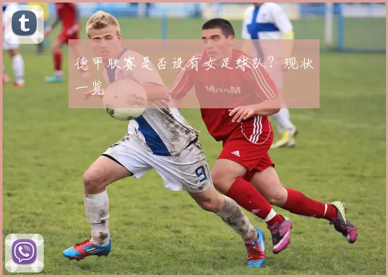 德甲联赛是否设有女足球队？现状一览