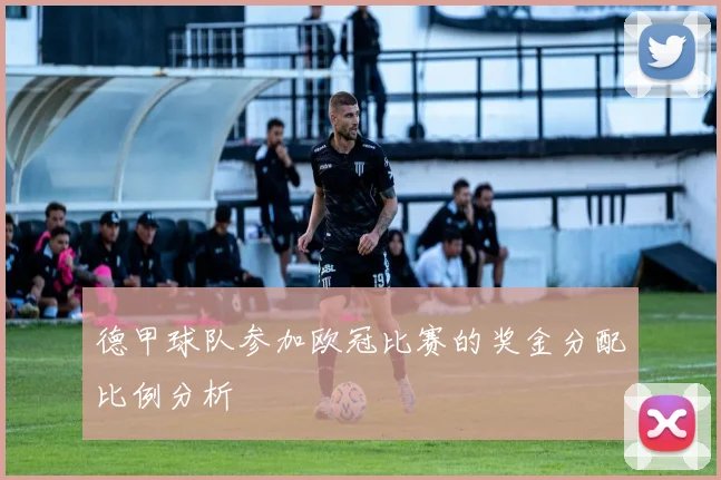 德甲球队参加欧冠比赛的奖金分配比例分析