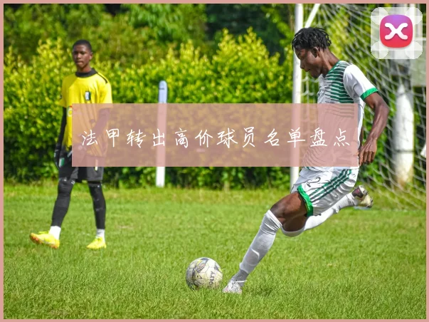 法甲转出高价球员名单盘点